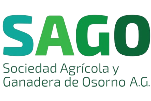 Sago